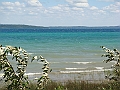 Western Michigan [2010] 554